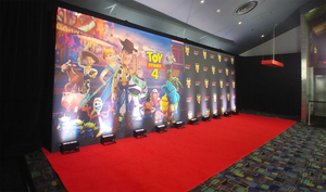 Print Only Premium Fabric Backdrop - 30'x10'